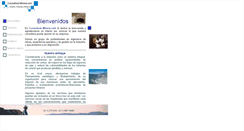 Desktop Screenshot of consultoraminera.com