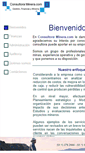 Mobile Screenshot of consultoraminera.com